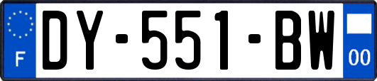 DY-551-BW