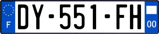 DY-551-FH