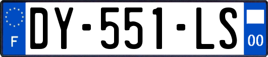 DY-551-LS