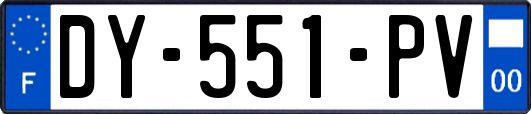 DY-551-PV