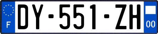 DY-551-ZH