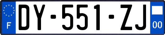 DY-551-ZJ