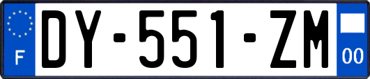 DY-551-ZM