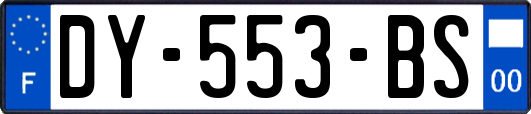 DY-553-BS