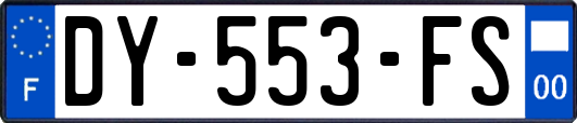 DY-553-FS