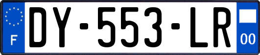 DY-553-LR