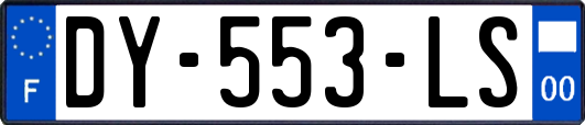 DY-553-LS