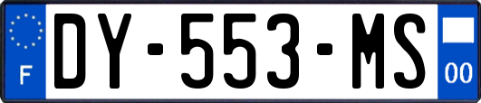 DY-553-MS