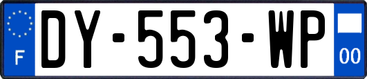 DY-553-WP