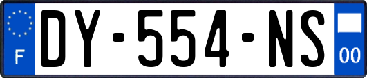 DY-554-NS
