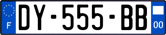 DY-555-BB