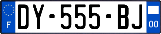 DY-555-BJ