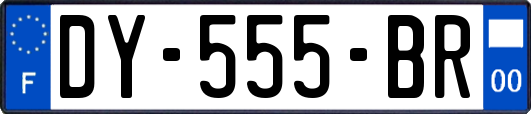 DY-555-BR