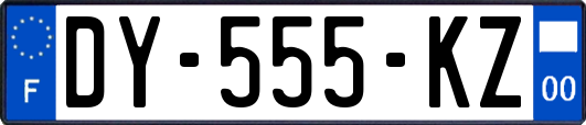 DY-555-KZ