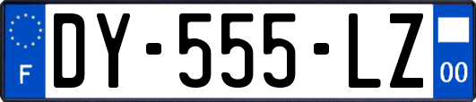 DY-555-LZ