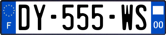 DY-555-WS