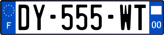 DY-555-WT