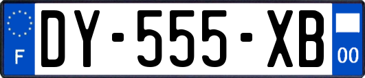 DY-555-XB