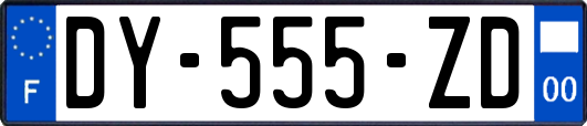 DY-555-ZD