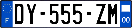 DY-555-ZM