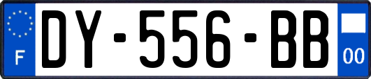 DY-556-BB