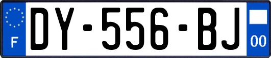 DY-556-BJ