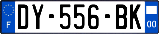 DY-556-BK