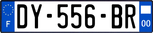 DY-556-BR