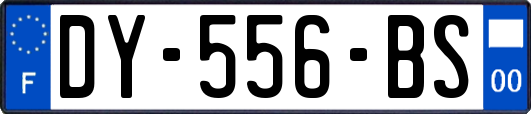 DY-556-BS