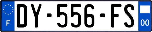 DY-556-FS