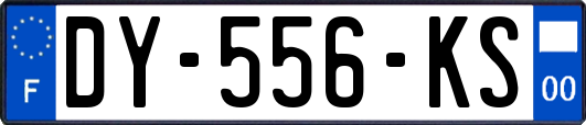 DY-556-KS