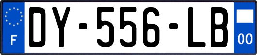 DY-556-LB