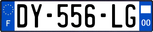 DY-556-LG