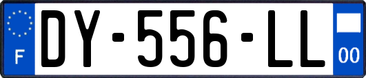 DY-556-LL
