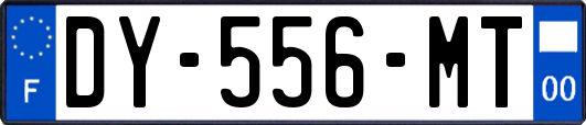 DY-556-MT