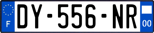 DY-556-NR