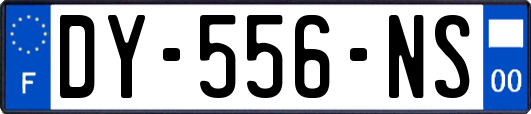 DY-556-NS