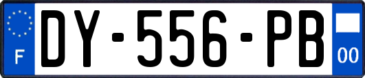 DY-556-PB