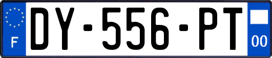 DY-556-PT