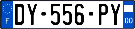 DY-556-PY