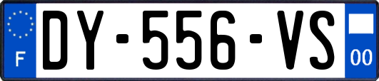 DY-556-VS