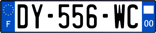 DY-556-WC