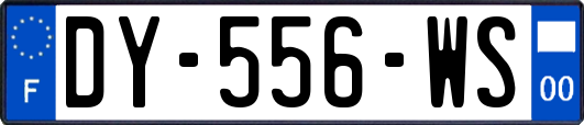 DY-556-WS