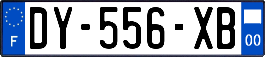 DY-556-XB