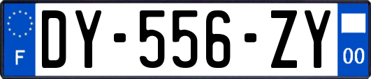 DY-556-ZY