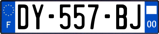 DY-557-BJ