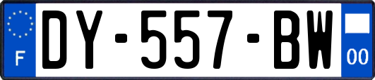 DY-557-BW