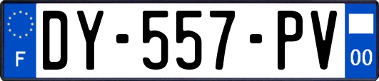 DY-557-PV