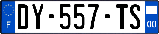 DY-557-TS