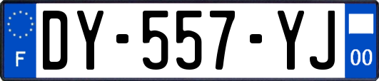 DY-557-YJ